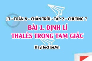 Định lí Thalès, định lí Thalès đảo và hệ quả của định lí Thales trong tam giác? Toán 8 chân trời tập 2 chương 7 bài 1